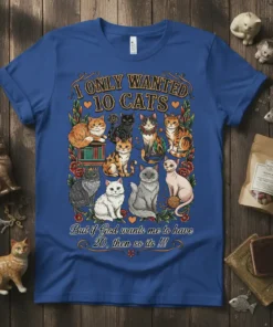 Blue t-shirt with "I ONLY WANTED 10 CATS But if God wants me to have 20, then so its !!!"