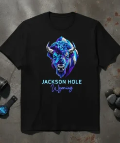 Geometric bison head design with "JACKSON HOLE Wyoming" text on a black t-shirt, representing Jackson Hole Wyoming travel